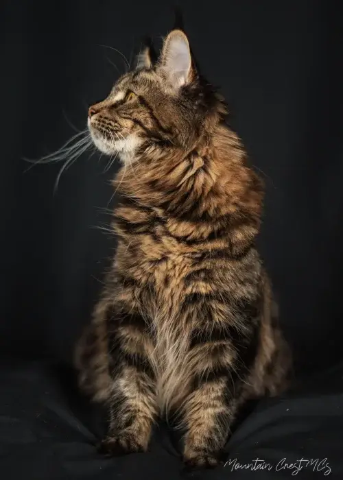 1 years old