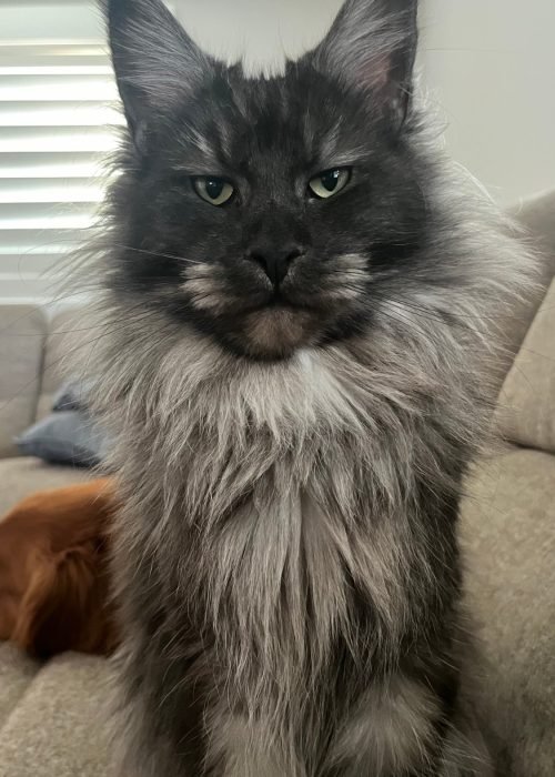 13 Months Old