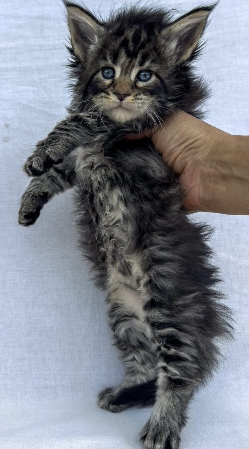 4 Weeks
