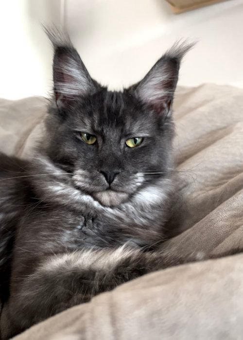 12 Months Old