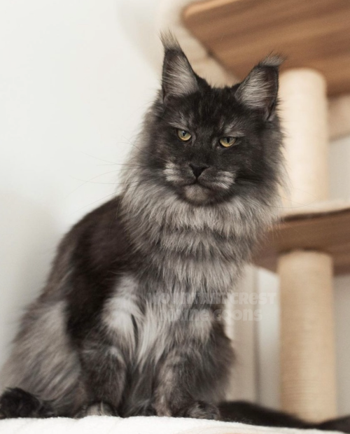 12 Months Old