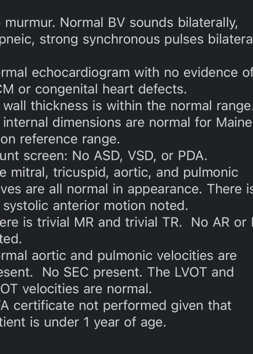 Echo Result