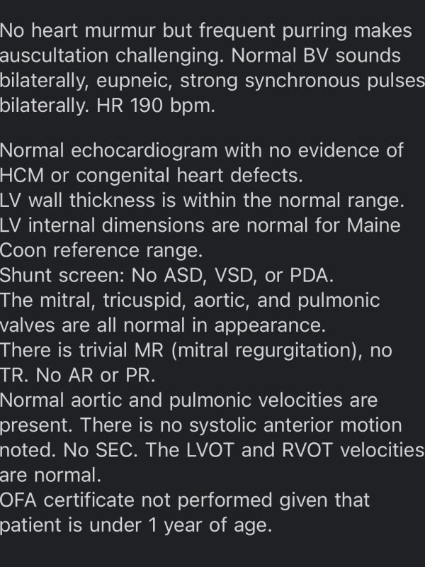 Echo Results