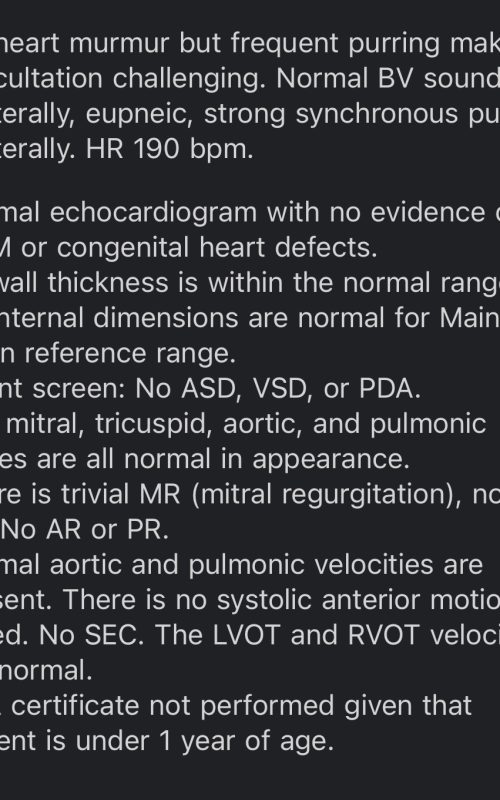 Echo Results