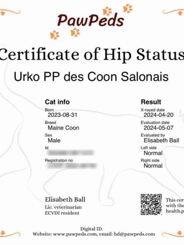 Hip Results