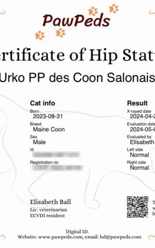 Hip Results