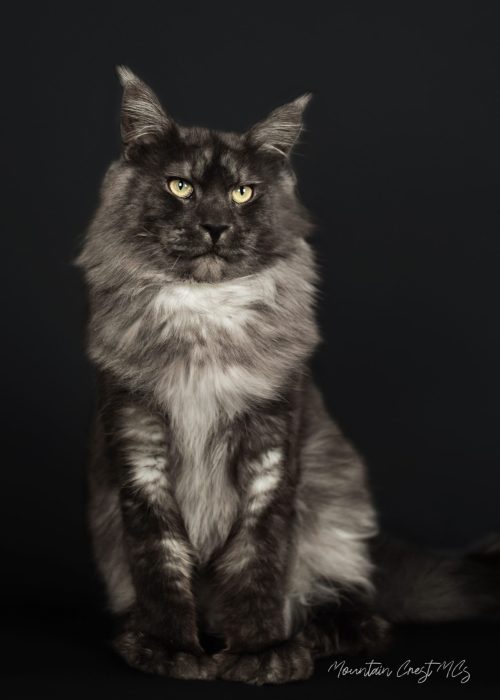 1.5 Years Old