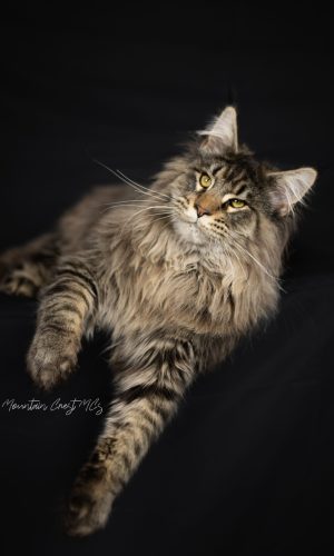 IMG_6434