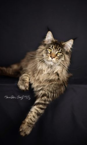 8 Months Old
