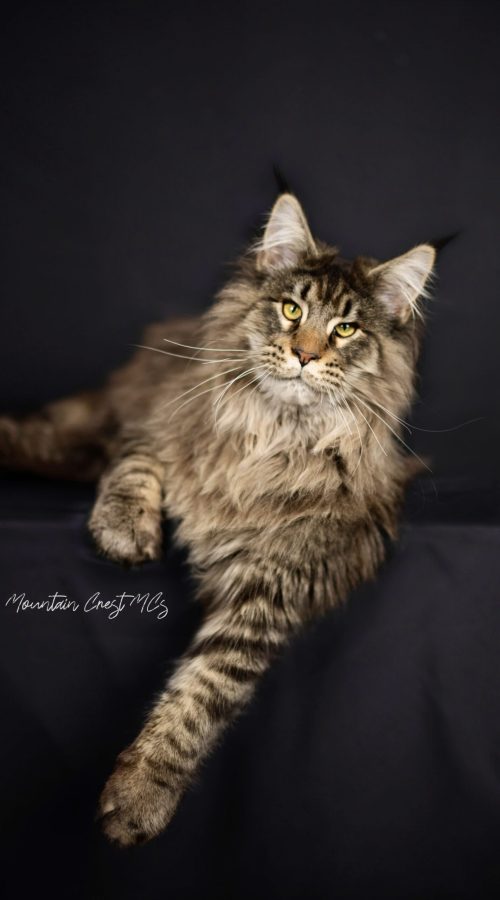8 Months Old
