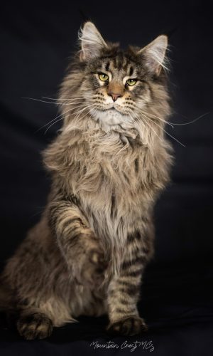 8 Months Old