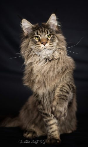 8 Months Old