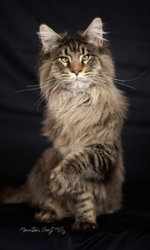 8 Months Old