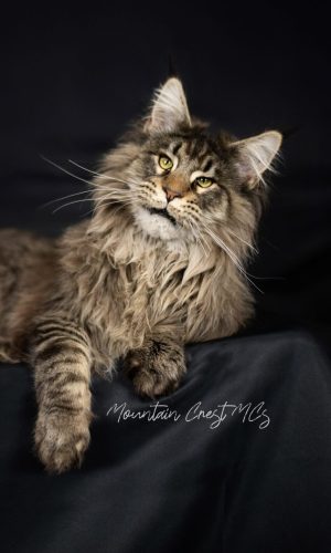 8 Months Old