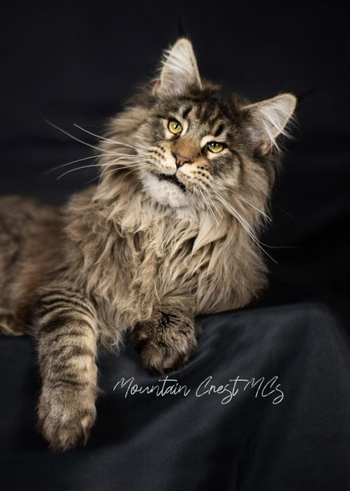 8 Months Old