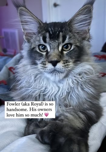 Fowler in his new home