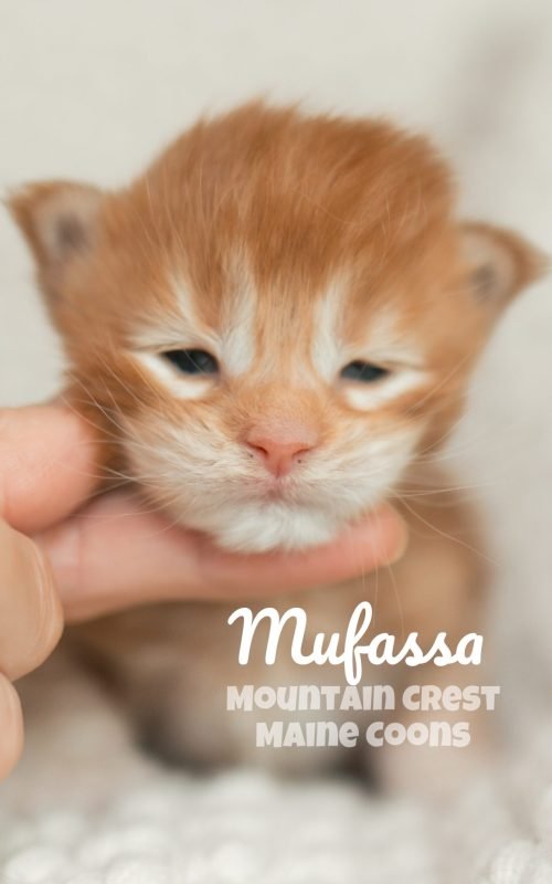10 Days Old