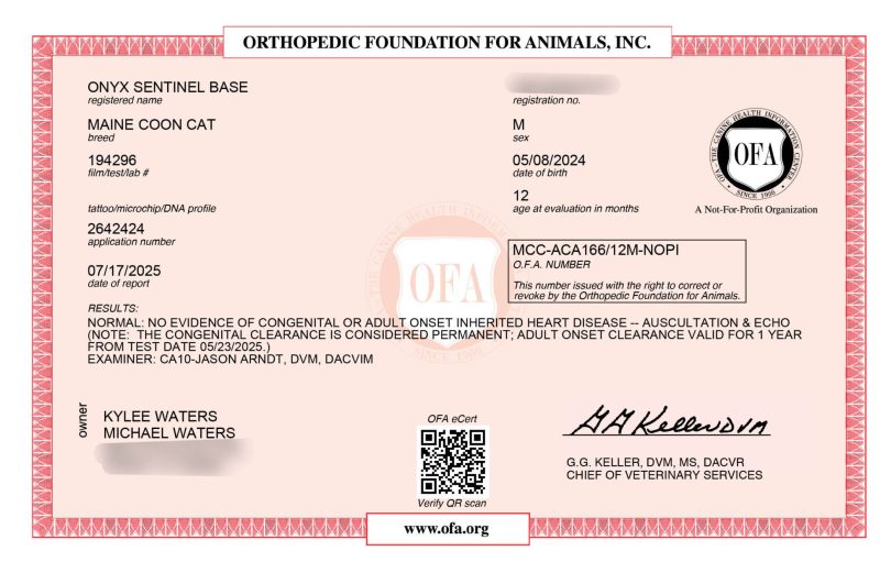 05/23/2025