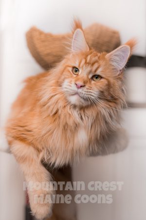 Raw+Golden-Photo-Co.-9558-4 Almost 2 Years