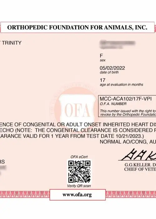 zCATSVILL-COUNTY-TRINITY-ADVANCED-CARDIAC-10_21_2023-ADVANCED-CARDIAC.jpg